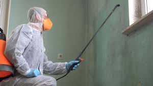 Ava, MO Mold Removal Services Company